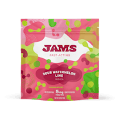 SOUR WATERMELON LIME | 20PK